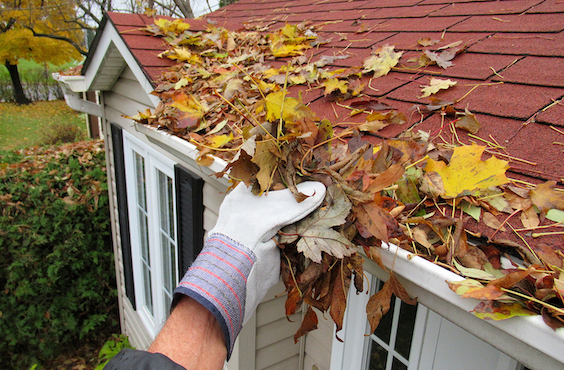 Fall leaves in gutter - How to Maintain Your Gutters This Fall