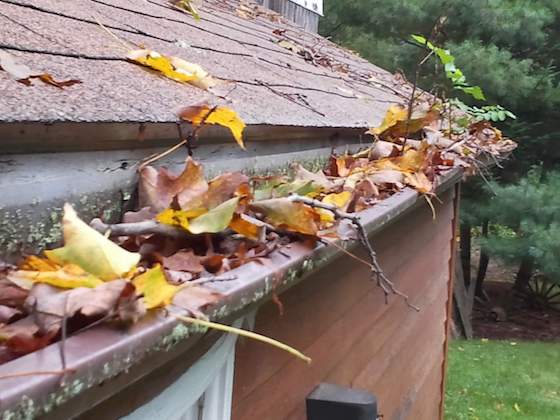 Gutter filled with leaves - How to Maintain Your Gutters This Fall
