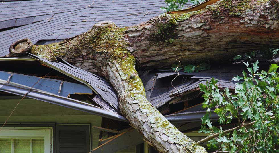 a roof that needs storm damage repair after a storm