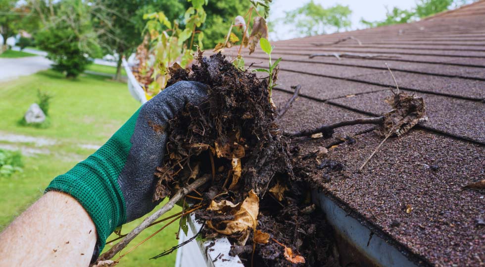 Asphalt roof Gutter Cleaning Service